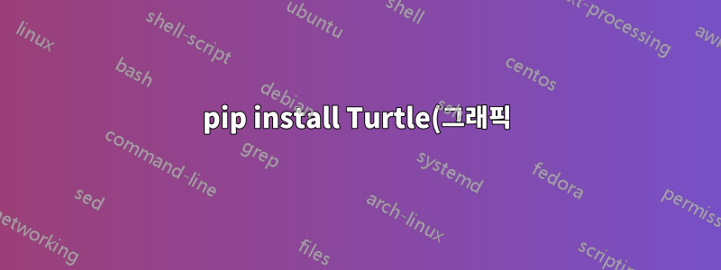 pip install Turtle(그래픽) 오류가 발생한 이유