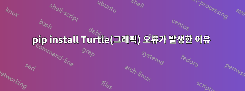 pip install Turtle(그래픽) 오류가 발생한 이유