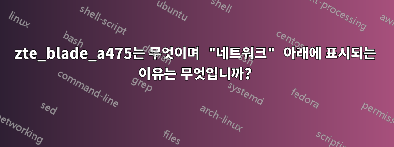 zte_blade_a475는 무엇이며 "네트워크" 아래에 표시되는 이유는 무엇입니까?