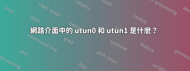 網路介面中的 utun0 和 utun1 是什麼？