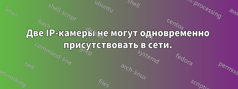 Две IP-камеры не могут одновременно присутствовать в сети.