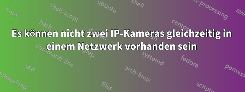Es können nicht zwei IP-Kameras gleichzeitig in einem Netzwerk vorhanden sein
