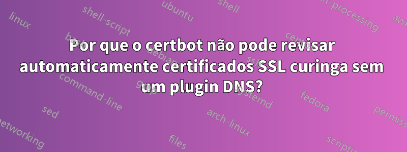 Por que o certbot não pode revisar automaticamente certificados SSL curinga sem um plugin DNS?