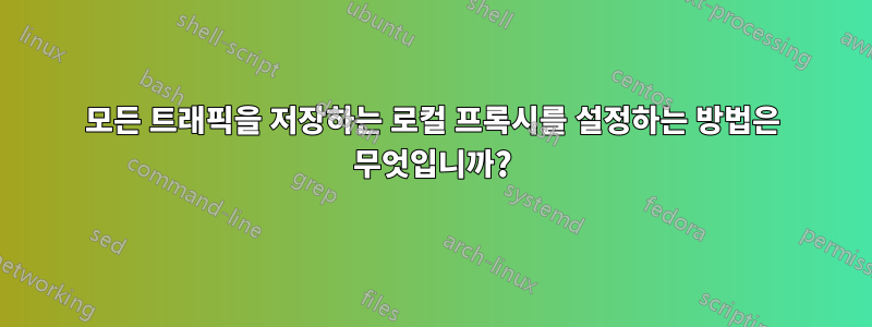 모든 트래픽을 저장하는 로컬 프록시를 설정하는 방법은 무엇입니까?