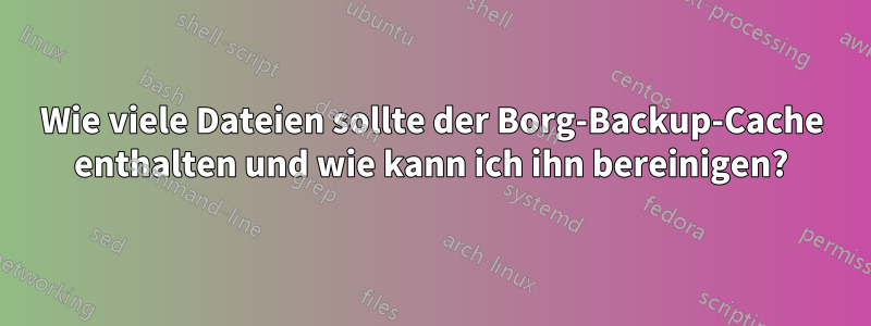 Wie viele Dateien sollte der Borg-Backup-Cache enthalten und wie kann ich ihn bereinigen?