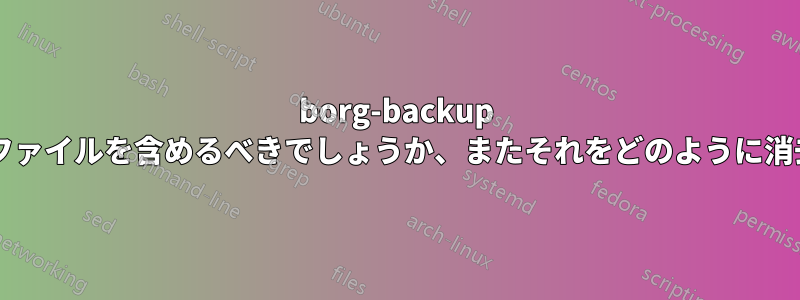 borg-backup キャッシュにはいくつのファイルを含めるべきでしょうか、またそれをどのように消去すればよいでしょうか?