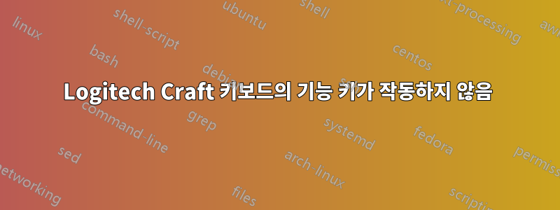 Logitech Craft 키보드의 기능 키가 작동하지 않음