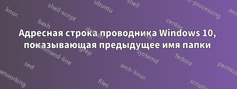 Адресная строка проводника Windows 10, показывающая предыдущее имя папки