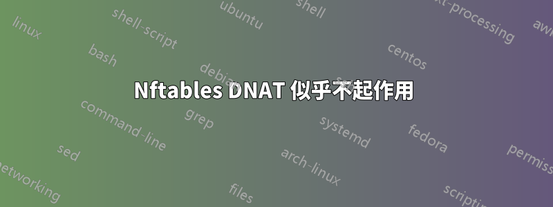 Nftables DNAT 似乎不起作用