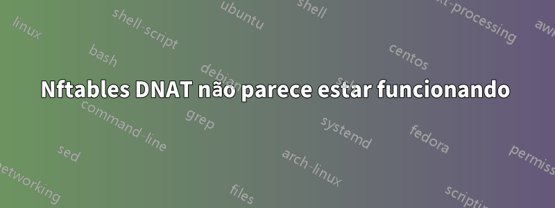 Nftables DNAT não parece estar funcionando