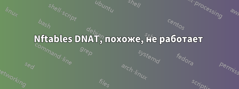 Nftables DNAT, похоже, не работает