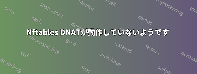 Nftables DNATが動作していないようです