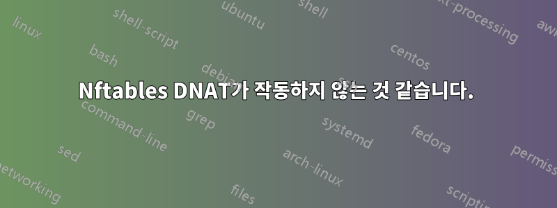 Nftables DNAT가 작동하지 않는 것 같습니다.