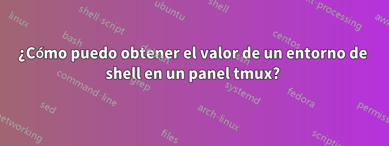 ¿Cómo puedo obtener el valor de un entorno de shell en un panel tmux?