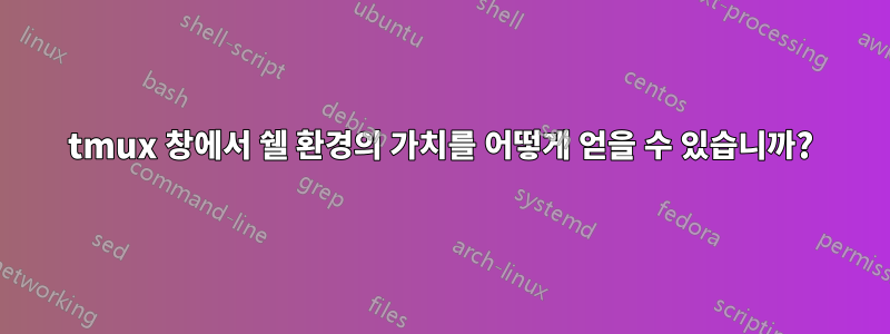 tmux 창에서 쉘 환경의 가치를 어떻게 얻을 수 있습니까?