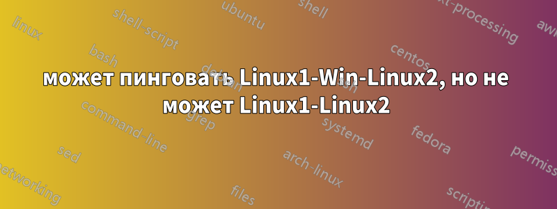 может пинговать Linux1-Win-Linux2, но не может Linux1-Linux2