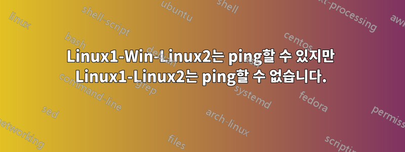 Linux1-Win-Linux2는 ping할 수 있지만 Linux1-Linux2는 ping할 수 없습니다.