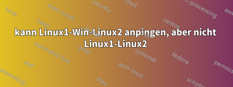 kann Linux1-Win-Linux2 anpingen, aber nicht Linux1-Linux2