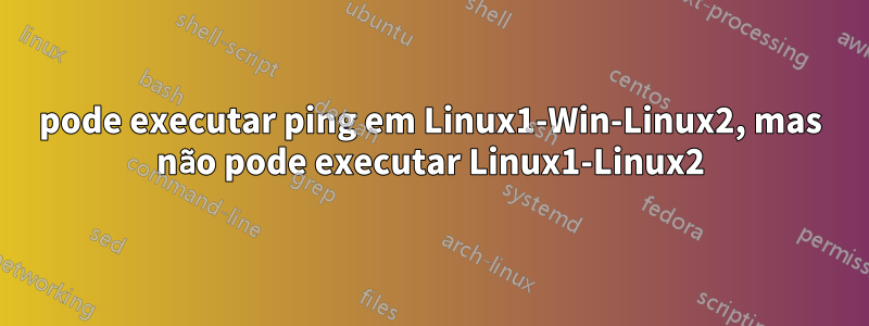 pode executar ping em Linux1-Win-Linux2, mas não pode executar Linux1-Linux2