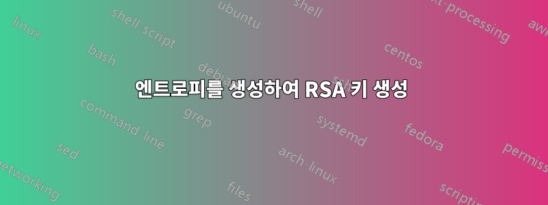 엔트로피를 생성하여 RSA 키 생성