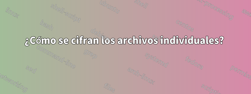 ¿Cómo se cifran los archivos individuales?