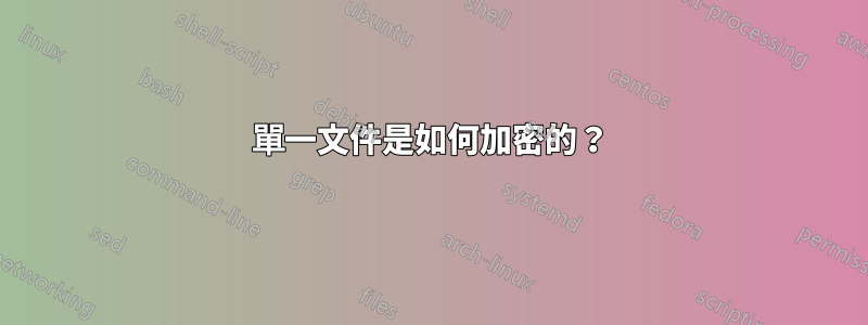 單一文件是如何加密的？