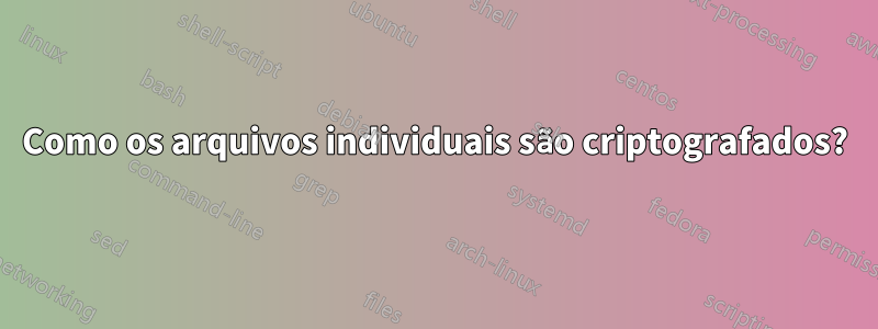 Como os arquivos individuais são criptografados?