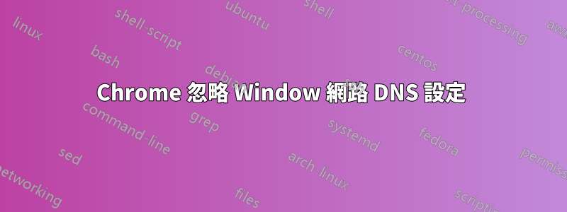 Chrome 忽略 Window 網路 DNS 設定