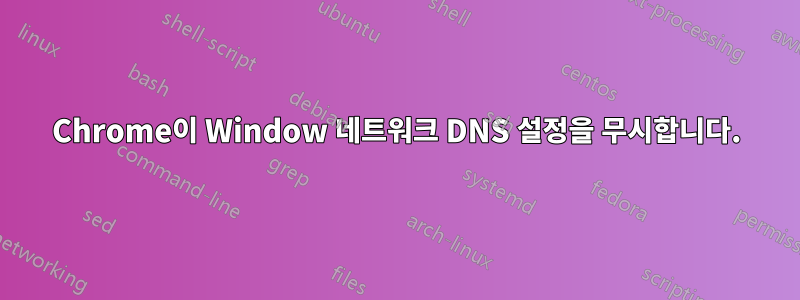 Chrome이 Window 네트워크 DNS 설정을 무시합니다.