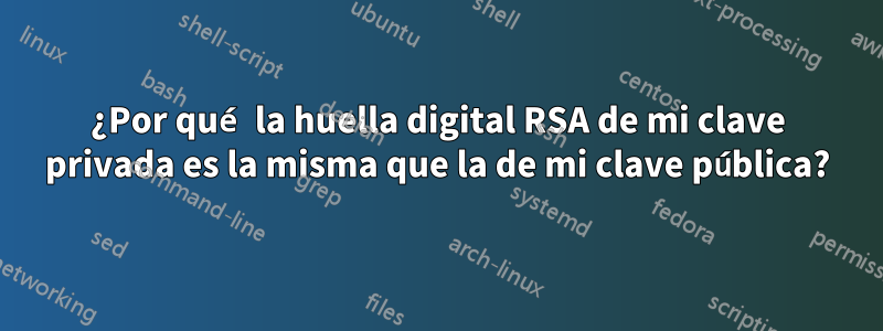 ¿Por qué la huella digital RSA de mi clave privada es la misma que la de mi clave pública?