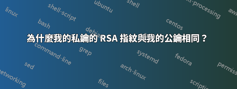 為什麼我的私鑰的 RSA 指紋與我的公鑰相同？