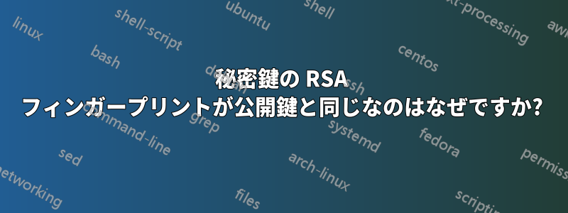 秘密鍵の RSA フィンガープリントが公開鍵と同じなのはなぜですか?