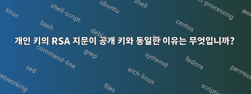 개인 키의 RSA 지문이 공개 키와 동일한 이유는 무엇입니까?