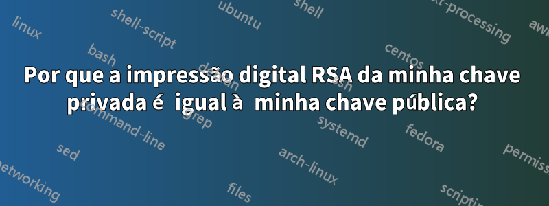 Por que a impressão digital RSA da minha chave privada é igual à minha chave pública?