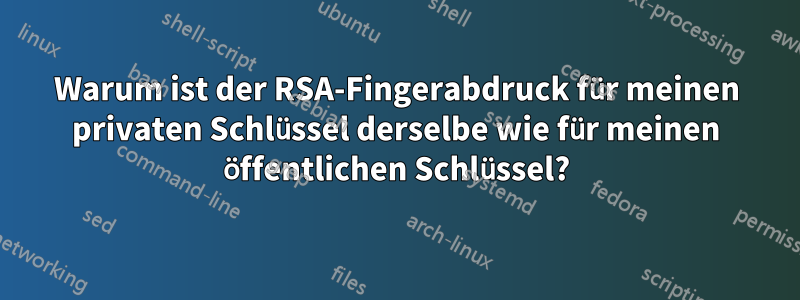 Warum ist der RSA-Fingerabdruck für meinen privaten Schlüssel derselbe wie für meinen öffentlichen Schlüssel?