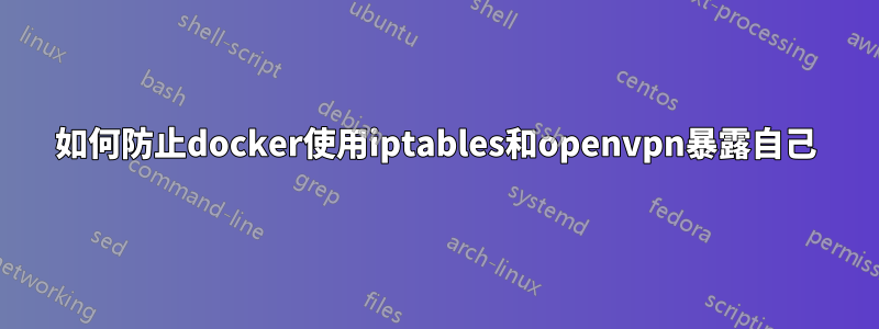 如何防止docker使用iptables和openvpn暴露自己