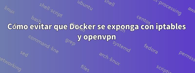 Cómo evitar que Docker se exponga con iptables y openvpn