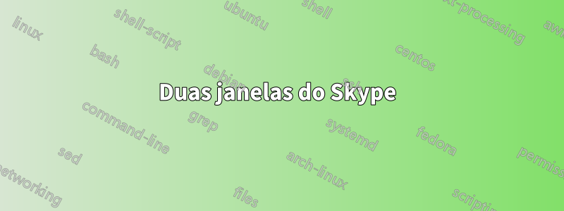 Duas janelas do Skype 