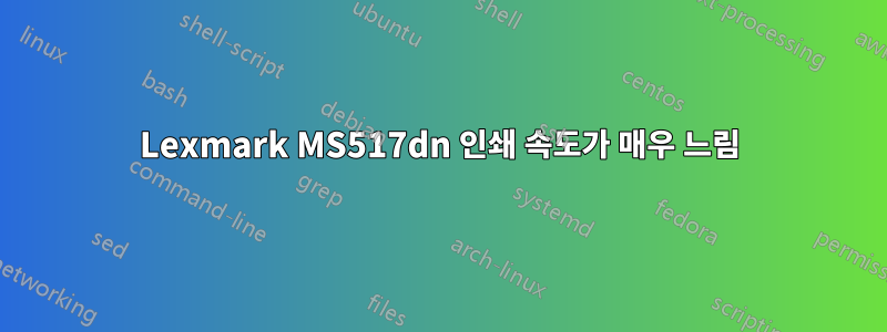 Lexmark MS517dn 인쇄 속도가 매우 느림