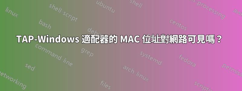 TAP-Windows 適配器的 MAC 位址對網路可見嗎？