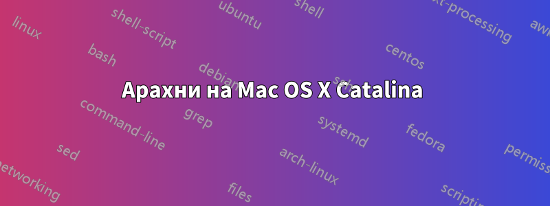 Арахни на Mac OS X Catalina