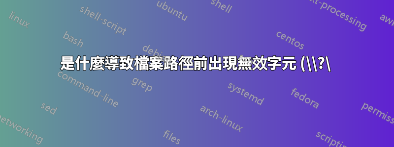 是什麼導致檔案路徑前出現無效字元 (\\?\)?