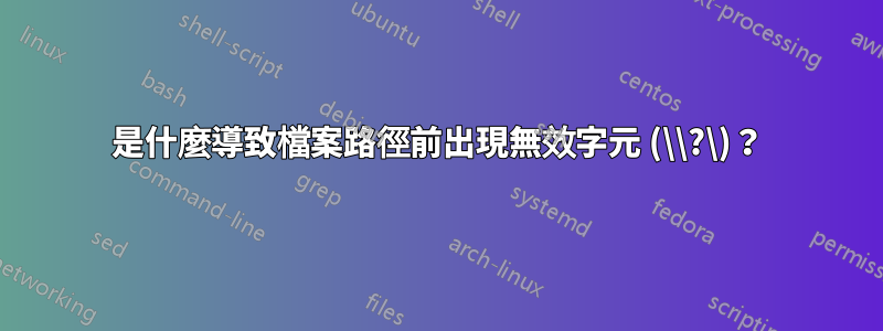 是什麼導致檔案路徑前出現無效字元 (\\?\)？