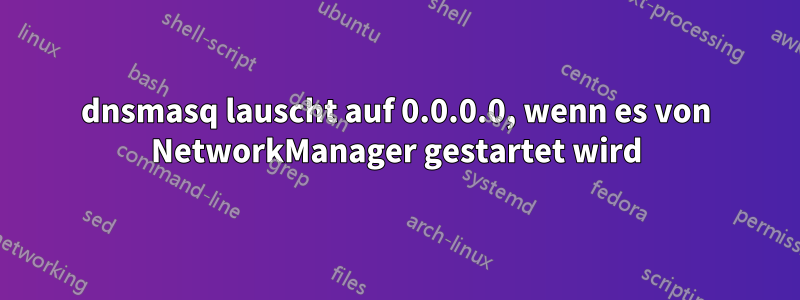 dnsmasq lauscht auf 0.0.0.0, wenn es von NetworkManager gestartet wird