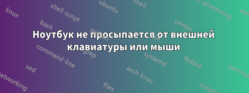 Ноутбук не просыпается от внешней клавиатуры или мыши