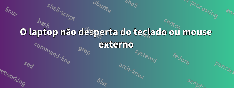 O laptop não desperta do teclado ou mouse externo