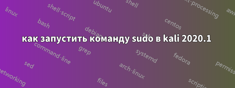 как запустить команду sudo в kali 2020.1