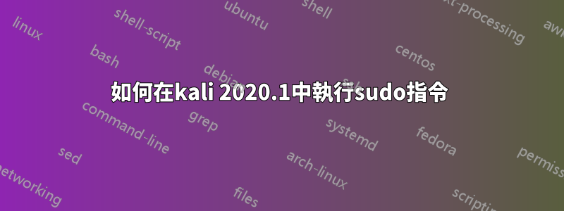 如何在kali 2020.1中執行sudo指令