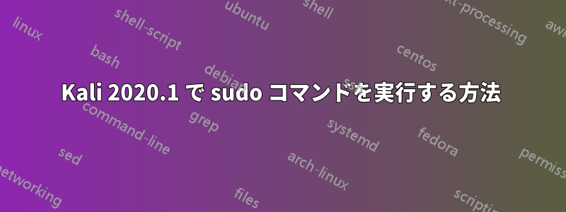 Kali 2020.1 で sudo コマンドを実行する方法