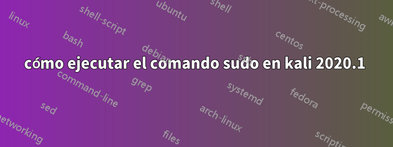 cómo ejecutar el comando sudo en kali 2020.1